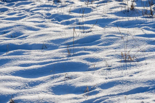 Sombras en la nieve. invierno en el campo —  Fotos de Stock