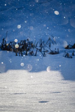 blizzard beyaz kar arka plan ile düşen kar pul