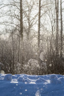 blizzard beyaz kar arka plan ile düşen kar pul