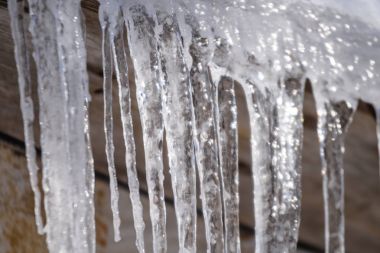 kış orman içinde donmuş buz popsickles