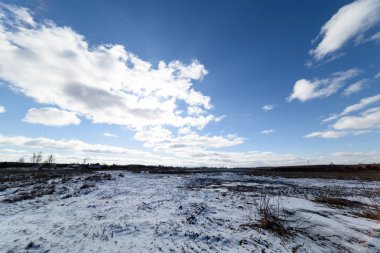 Yalnız ağaç günbatımı kırsal kesimde