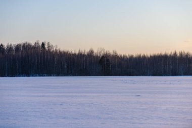 kırsal kış manzara temiz kış günü