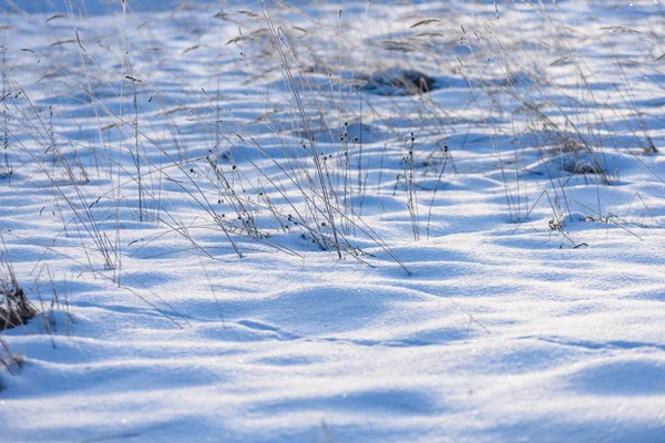 Skuggor i snö. vinter på landsbygden — Stockfoto