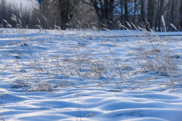 雪の影。田舎の冬 — ストック写真