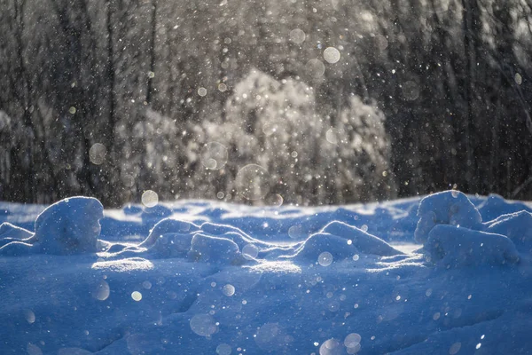 Снежинки падают в метель на белом фоне снега — стоковое фото
