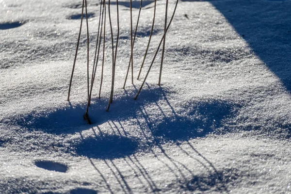 Viejas inclinaciones de hierba seca en invierno —  Fotos de Stock