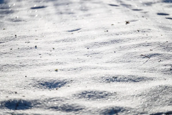 雪の影。田舎の冬 — ストック写真