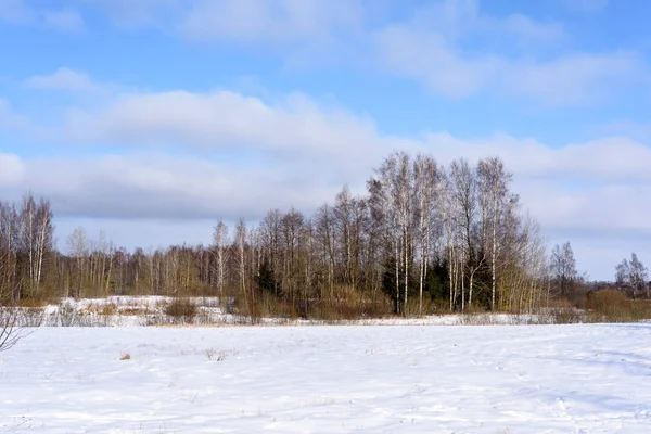 깨끗 한 겨울 날에 시골의 겨울 풍경 — 스톡 사진