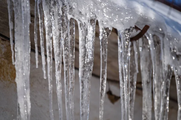 Frozen ice popsickles in winter forest — Stock Photo, Image