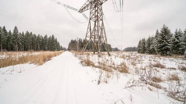 Elektrische leidingen in bosrijke omgeving — Stockfoto