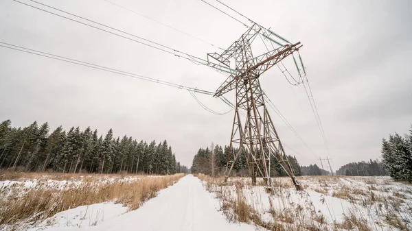 Líneas eléctricas en la zona forestal — Foto de Stock