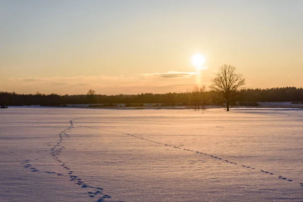 Trilha na neve sobre o lago congelado no campo — Fotografia de Stock