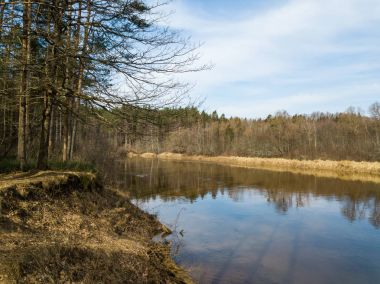 Drone görüntü. Bahar orman Nehri'nin havadan görünümü. Gauja, girllikeiCinsiye
