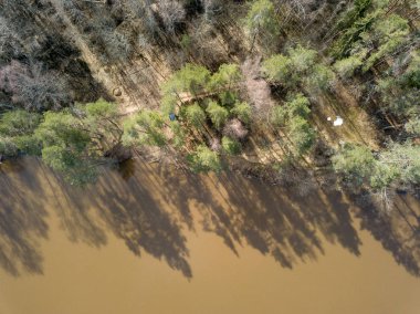Drone görüntü. Bahar orman Nehri'nin havadan görünümü. Gauja, girllikeiCinsiye