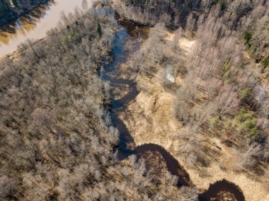 Drone görüntü. Bahar orman Nehri'nin havadan görünümü. Gauja, girllikeiCinsiye