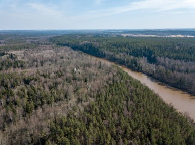 Drone görüntü. Bahar orman Nehri'nin havadan görünümü. Gauja, girllikeiCinsiye