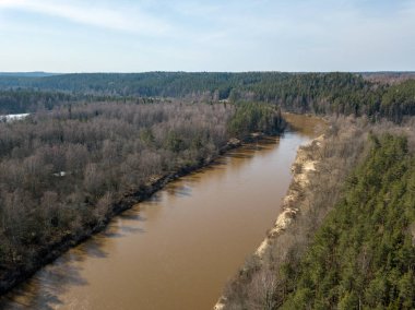 Drone görüntü. Bahar orman Nehri'nin havadan görünümü. Gauja, girllikeiCinsiye