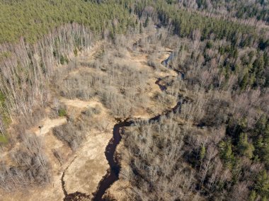 Drone görüntü. sonsuz ormanların havadan görünümü