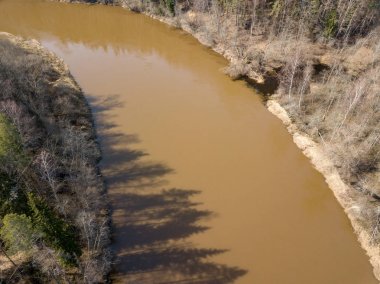 Drone görüntü. Bahar orman Nehri'nin havadan görünümü. Gauja, girllikeiCinsiye