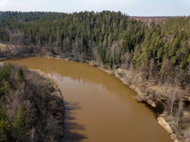 Drone görüntü. Bahar orman Nehri'nin havadan görünümü. Gauja, girllikeiCinsiye