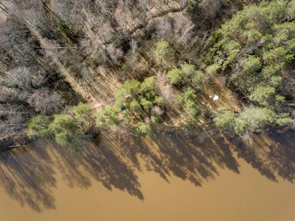 Drone зображення. вид з лісу річки навесні. Гауя, Latvi — стокове фото