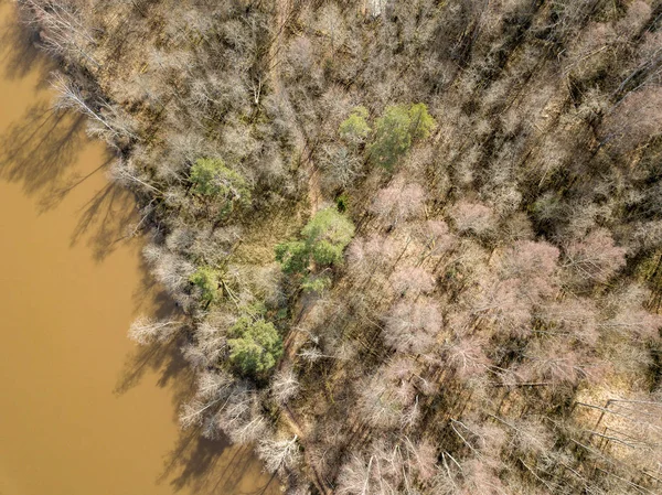Изображение дрона. воздушный вид на лесную реку весной. Гауя, Латвия — стоковое фото