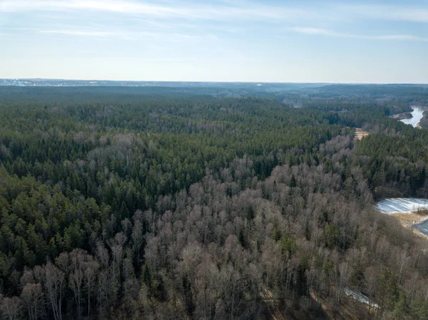 Drone image. aerial view of endless forests — Stock Photo, Image