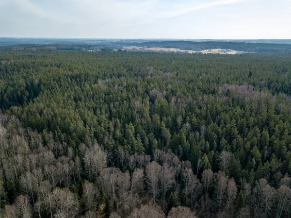 DRONY obrázek. Letecký pohled na nekonečných lesů — Stock fotografie