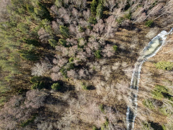 Imagem de drone. vista aérea da floresta de cima árvores com sh longo — Fotografia de Stock