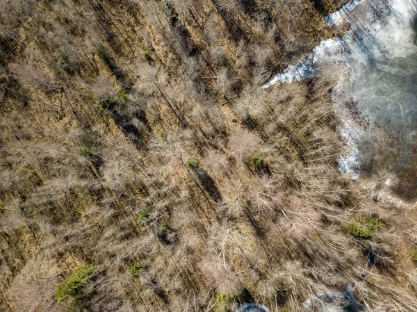 无人机图像。春季冰冻河岸鸟瞰图, 高亚河湖 — 图库照片