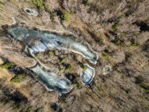 Imagem de drone. vista aérea da margem do rio congelada na primavera, Gauja, L — Fotografia de Stock