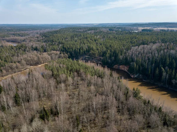 DRONY obrázek. Letecký pohled na lesní řeka na jaře. Gauja, Latvi — Stock fotografie