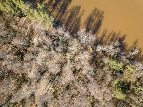 Изображение дрона. воздушный вид на лесную реку весной. Гауя, Латвия — стоковое фото
