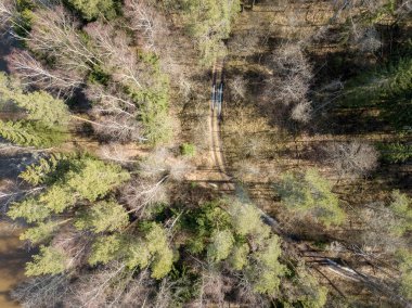 Drone görüntü. Yukarıdaki ormandan havadan görünümü ile uzun ağaçlar sh