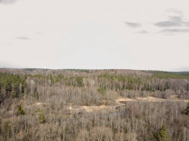 Drone görüntü. sonsuz ormanların havadan görünümü