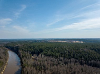 Drone görüntü. Bahar orman Nehri'nin havadan görünümü. Gauja, girllikeiCinsiye