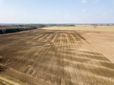 Drone görüntü. ıslak ekili tarım alanları ne havadan görünümü