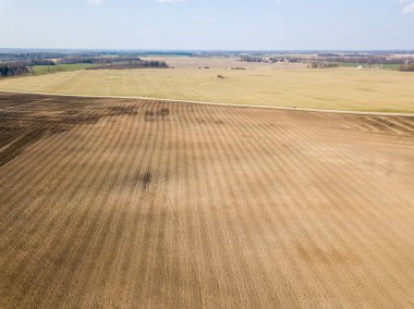 Drone görüntü. ıslak ekili tarım alanları ne havadan görünümü