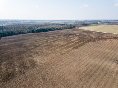 Drone görüntü. ıslak ekili tarım alanları ne havadan görünümü
