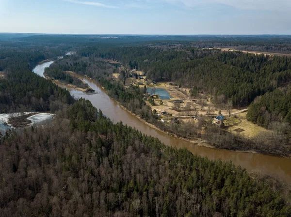 drone image. aerial view of forest river in spring. Gauja, Latvi
