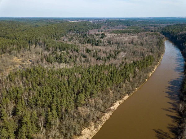 drone image. aerial view of forest river in spring. Gauja, Latvi