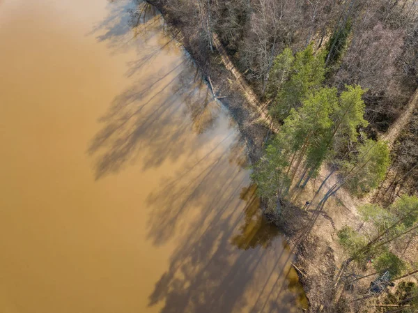 Imagen del dron. vista aérea del río bosque en primavera. Gauja, Latvi —  Fotos de Stock