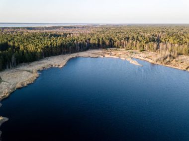 Drone görüntü. Bataklık, göller ve fo ile kırsal bölgenin havadan görünümü