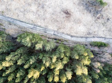 Drone görüntü. Bataklık, göller ve fo ile kırsal bölgenin havadan görünümü