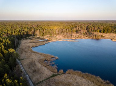Drone görüntü. Bataklık, göller ve fo ile kırsal bölgenin havadan görünümü