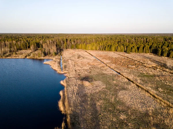 Drone bild. Flygfoto över landsbygden med träsk, sjöar och fo — Stockfoto