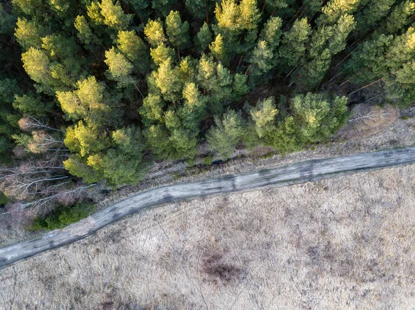Imagem de drone. vista aérea da zona rural com pântanos, lagos e fo — Fotografia de Stock