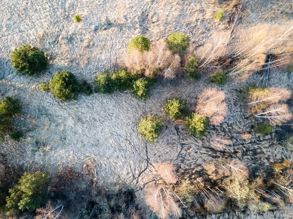 Imagem de drone. vista aérea da zona rural com pântanos, lagos e fo — Fotografia de Stock