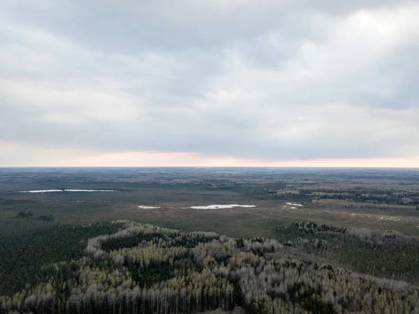 Drohnenbild. Luftaufnahme des ländlichen Raums mit Feldern und Wäldern i — Stockfoto
