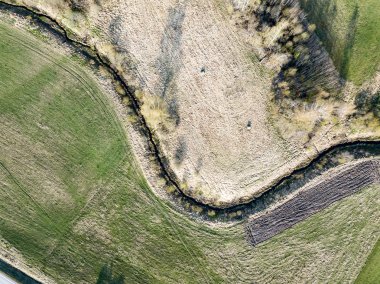 Drone görüntü. kırsal alanın wawy nehir iyon ormanının ile havadan görünümü